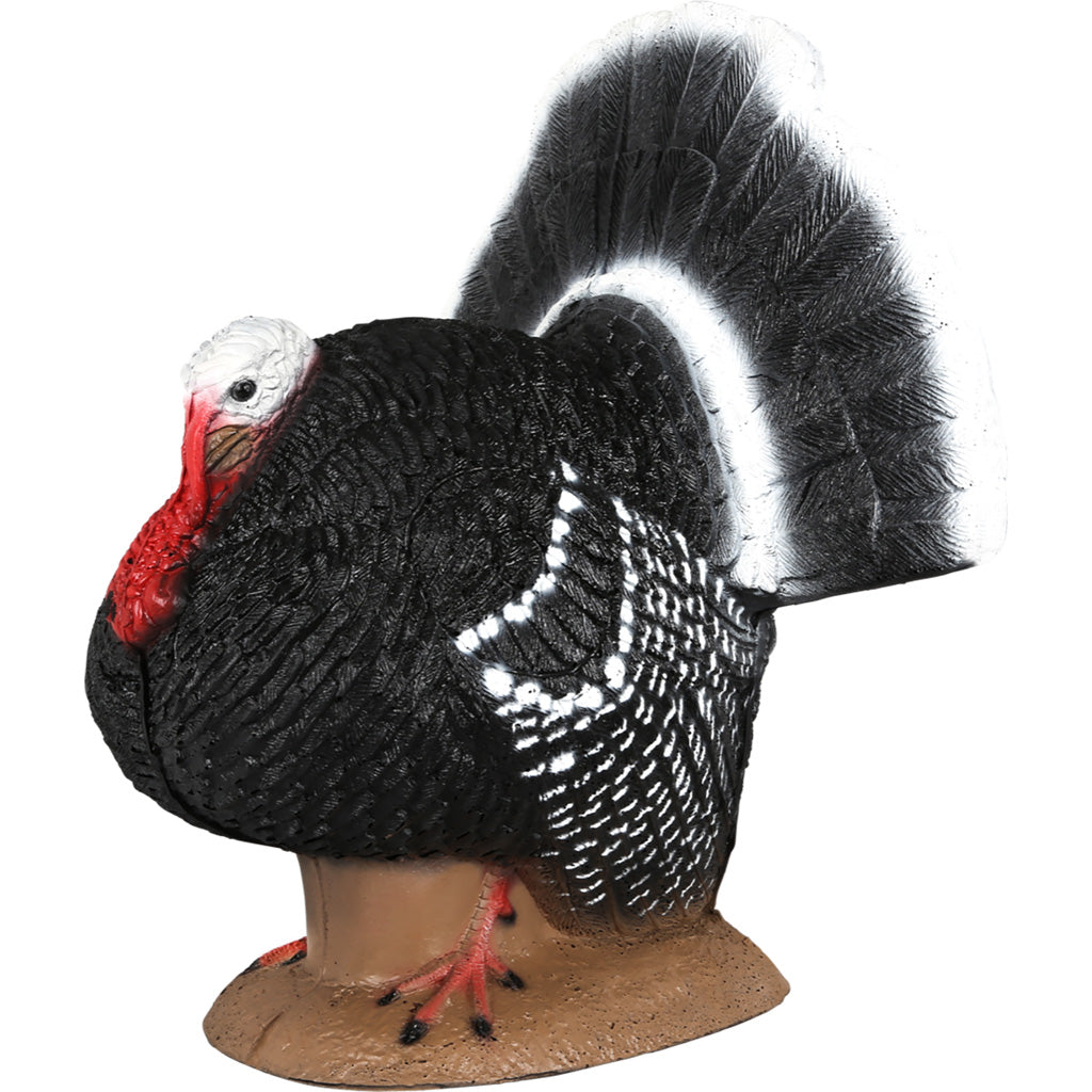 1001090_3.jpg