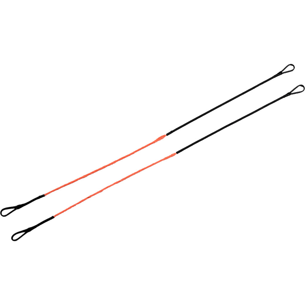 1003388_1.jpg