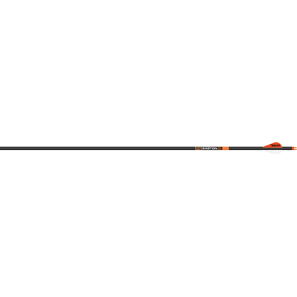 1005159_1.jpg