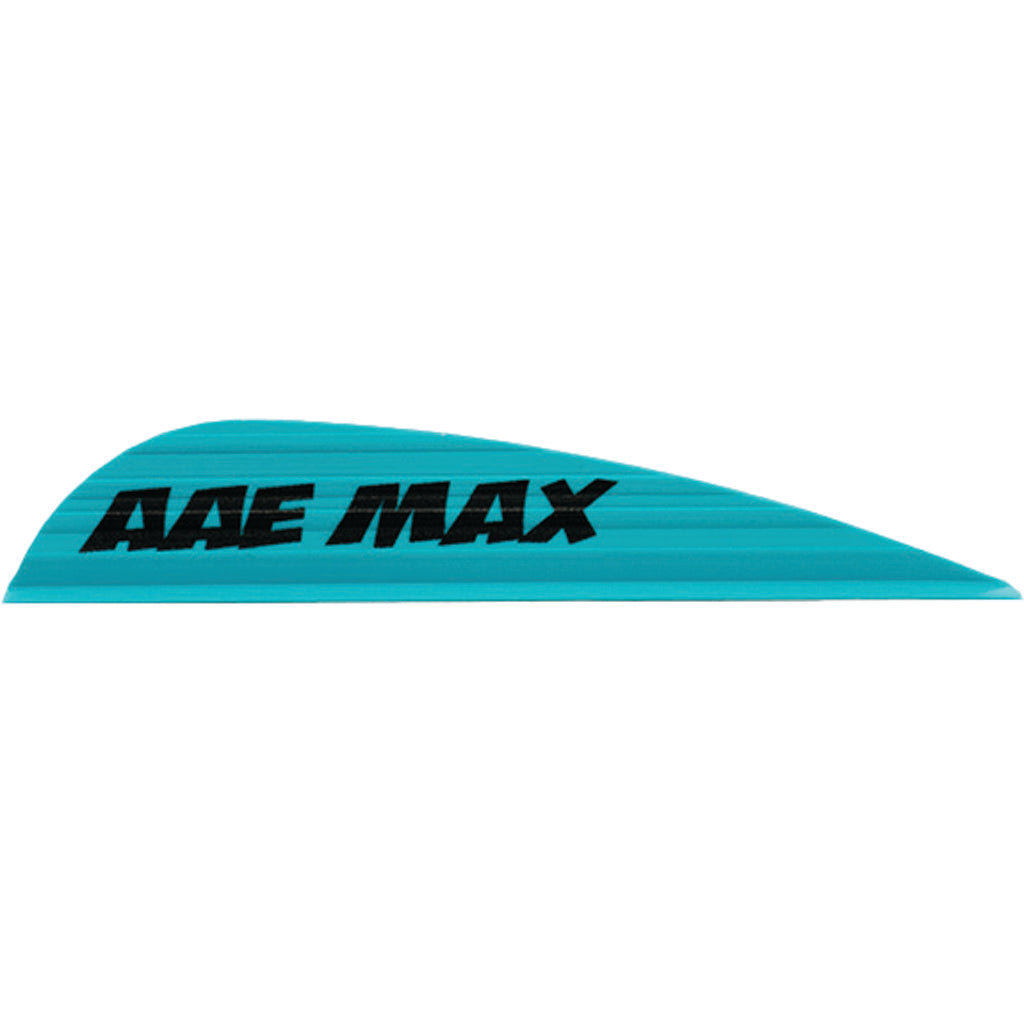 1005641_1.jpg