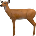 1005686_1.jpg