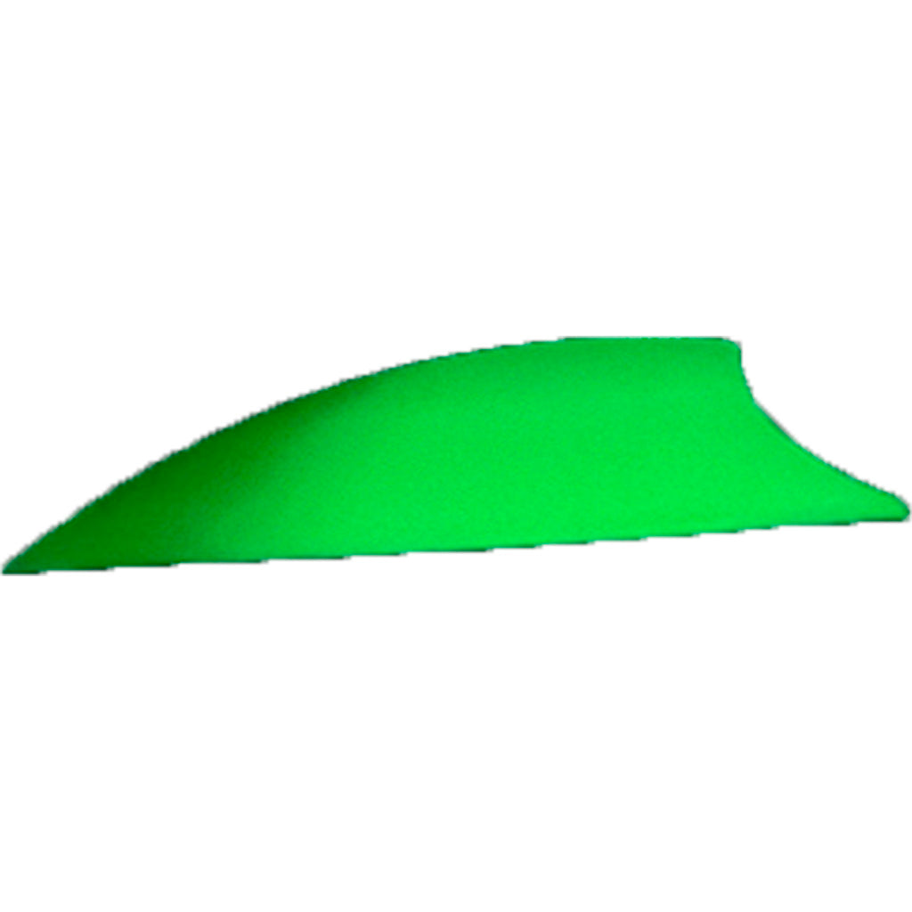 1005849_1.jpg