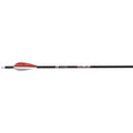 1006221_1.jpg