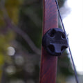 1006755_1.jpg