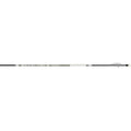1006830_1.jpg