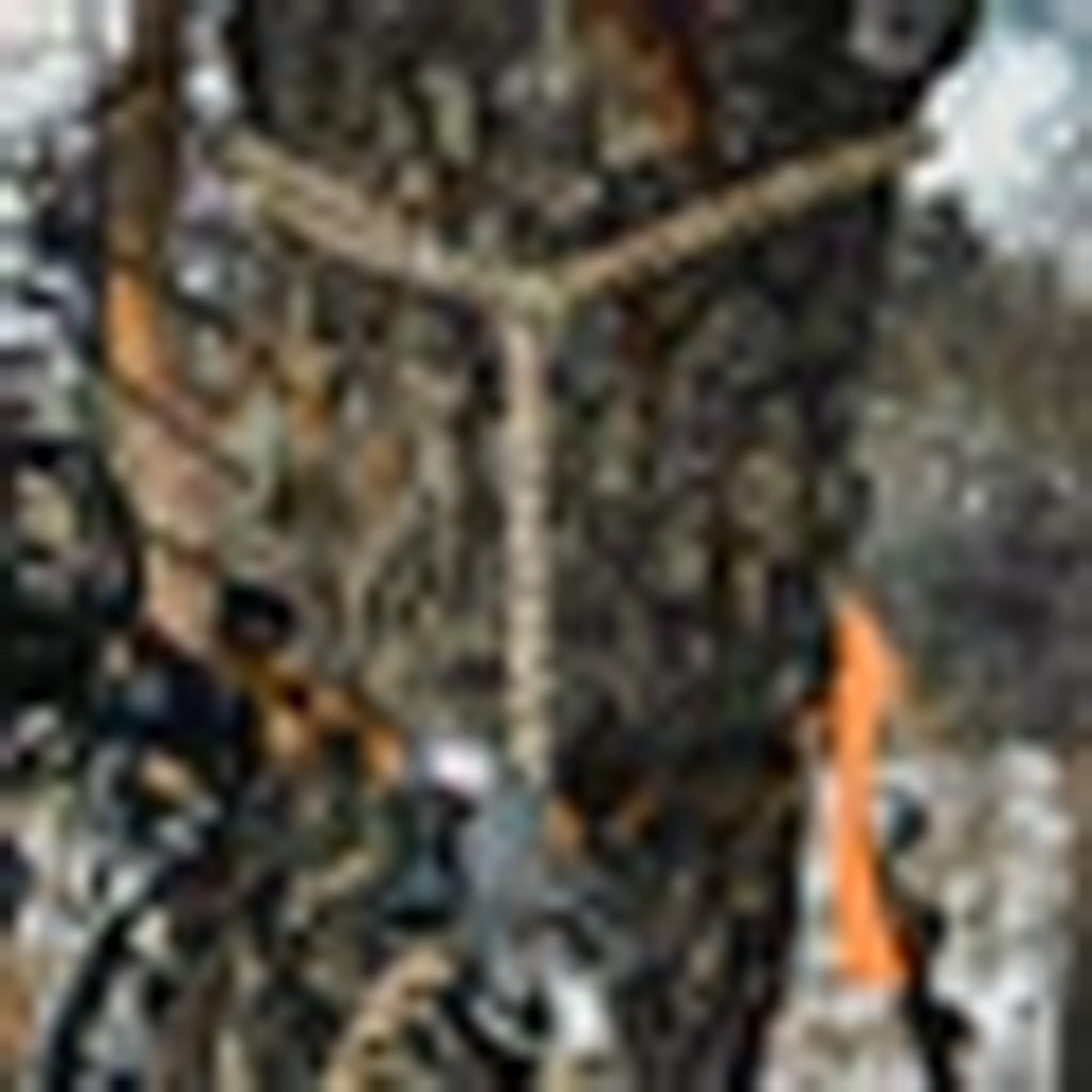 1102996_2.jpg