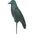 1201161_1.jpg