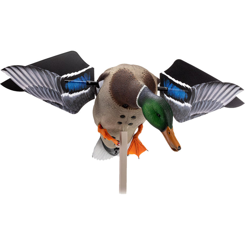 Calls & Decoys