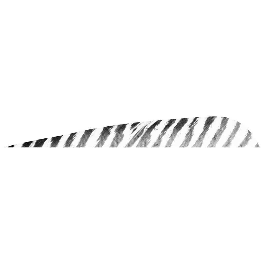 12524_1.jpg