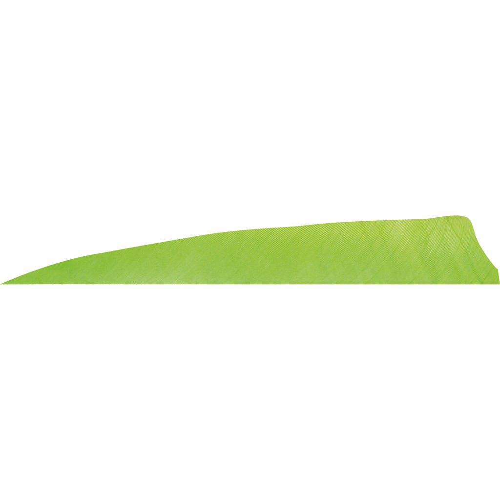 1407057_1.jpg