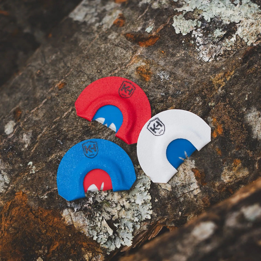 1502593_3.jpg