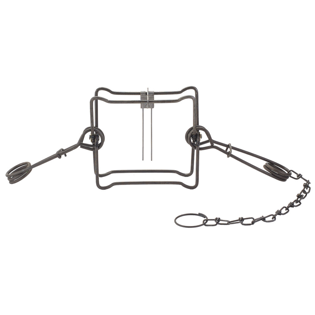 26747_1.jpg