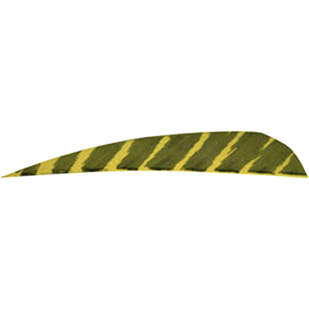 27499_1.jpg