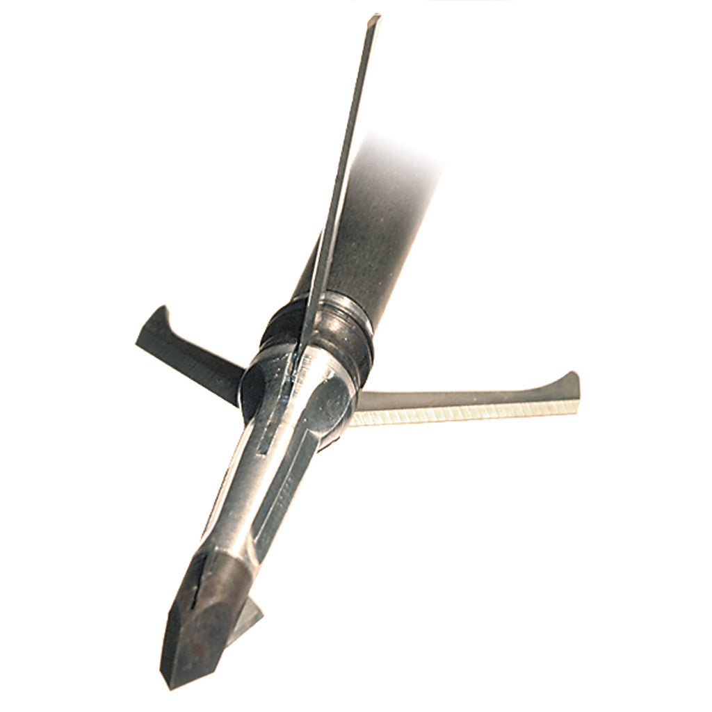 35940_1.jpg