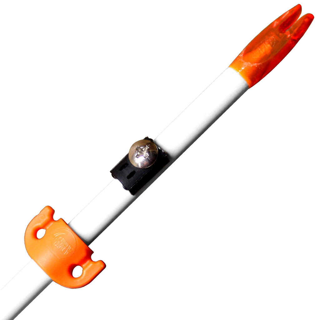 45045_1.jpg
