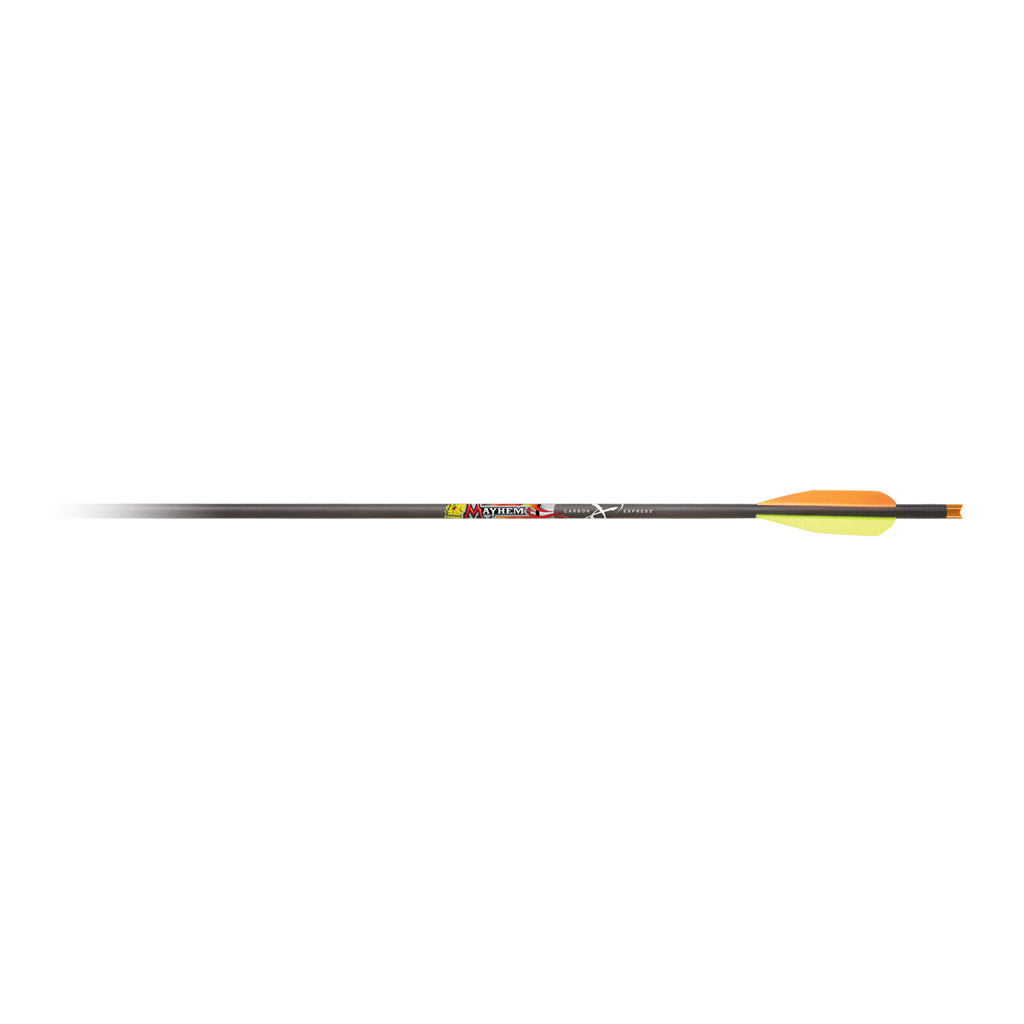 61245_1.jpg