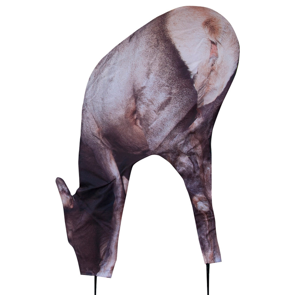 65499_1.jpg