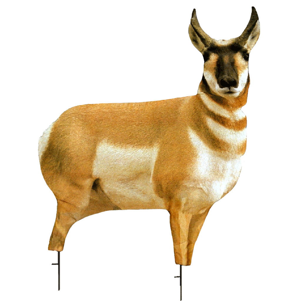 65502_1.jpg