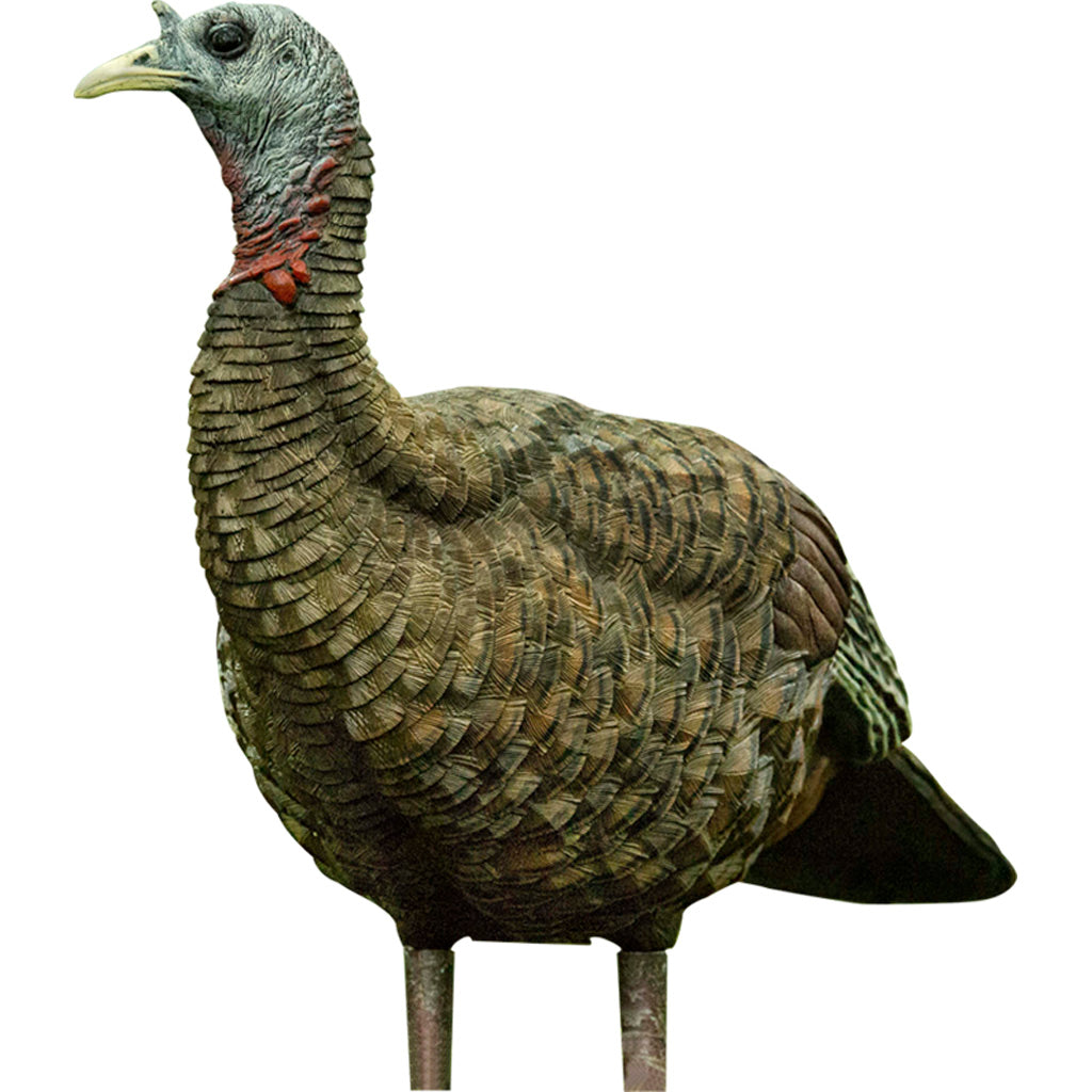 70528_1.jpg