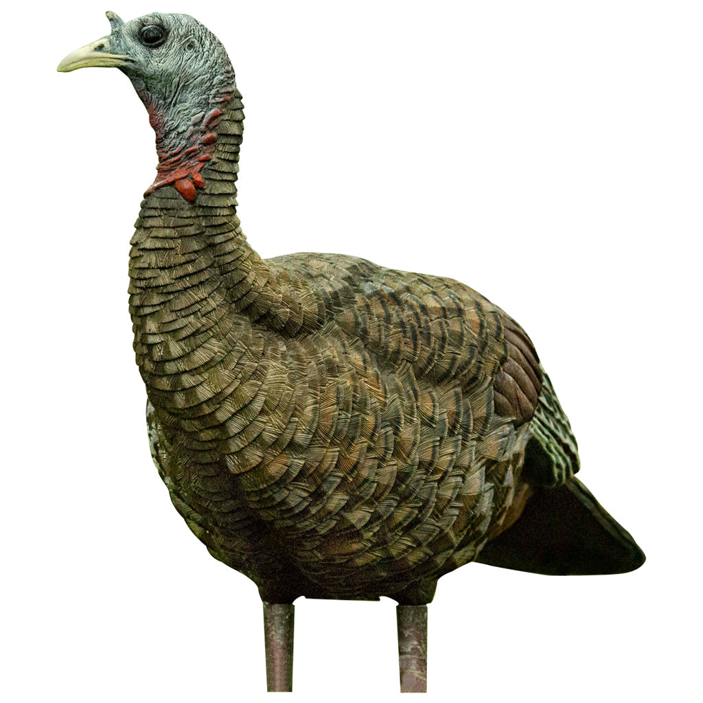 70528_2.jpg