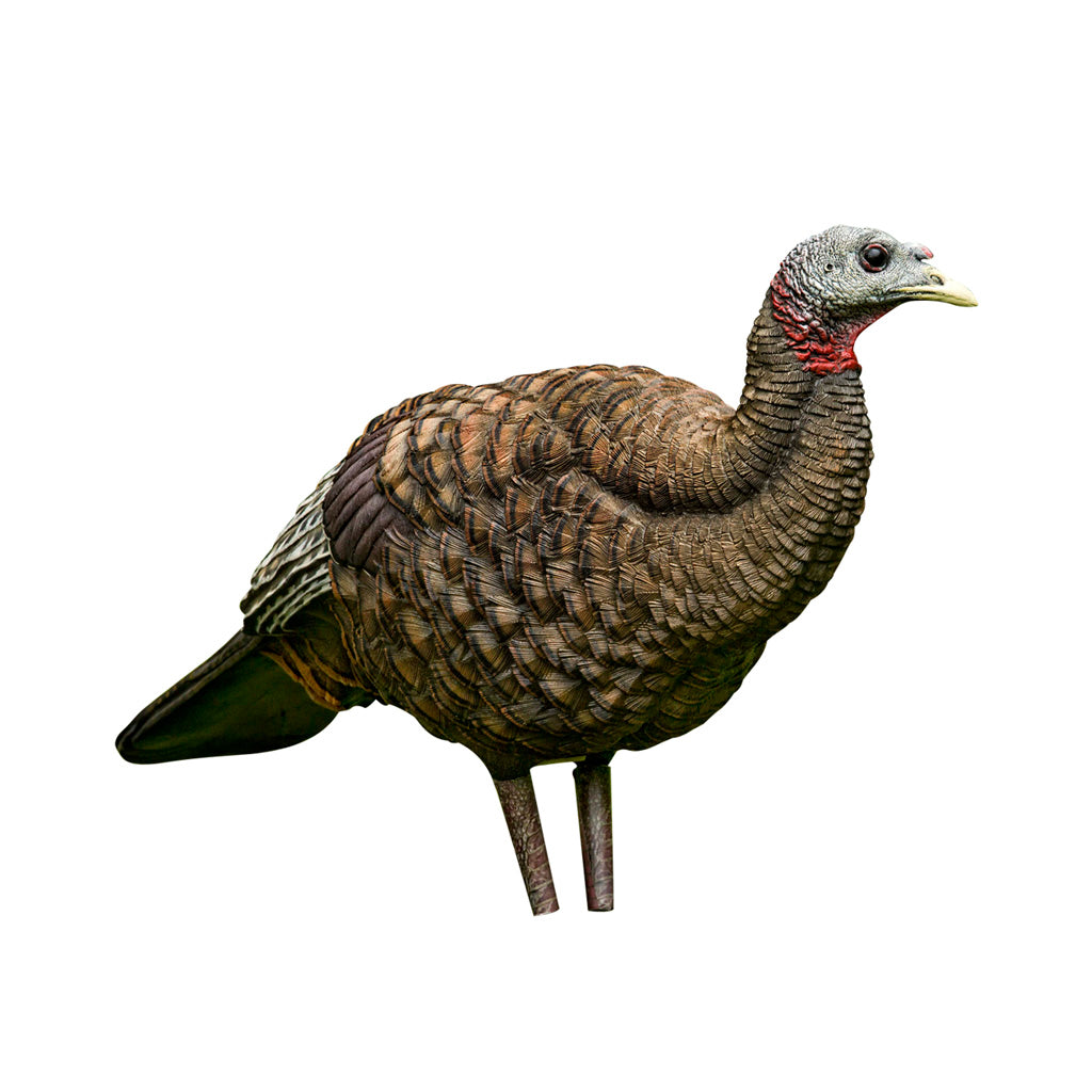 70530_1.jpg