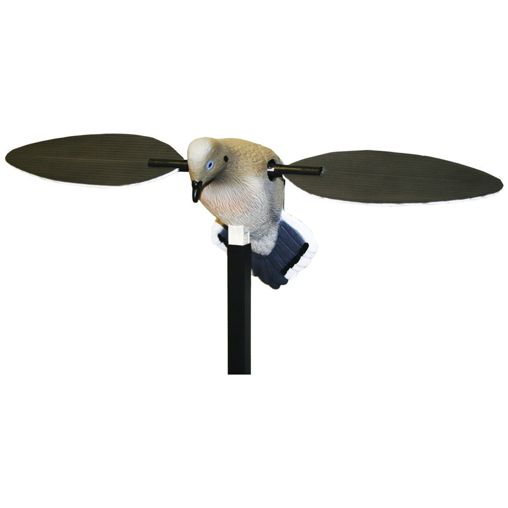 77393_1.jpg