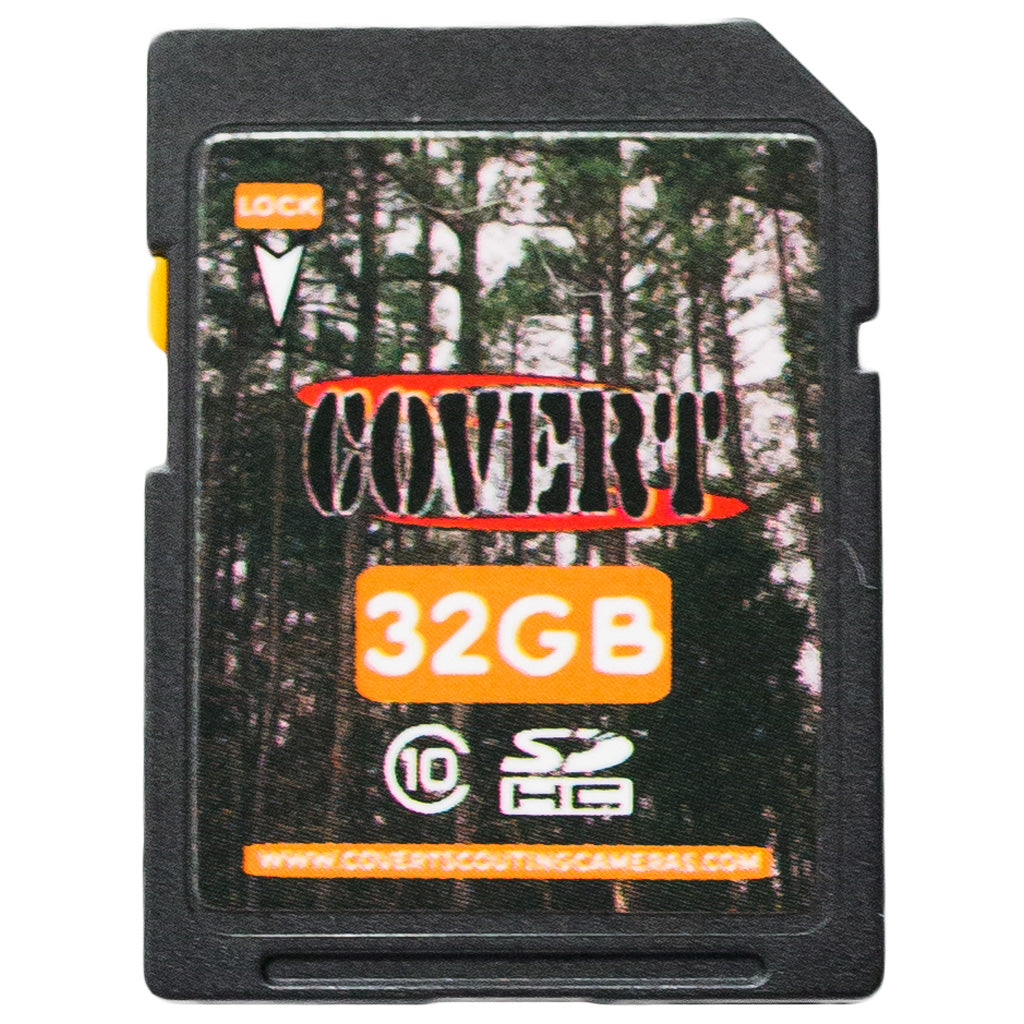 79261_1.jpg