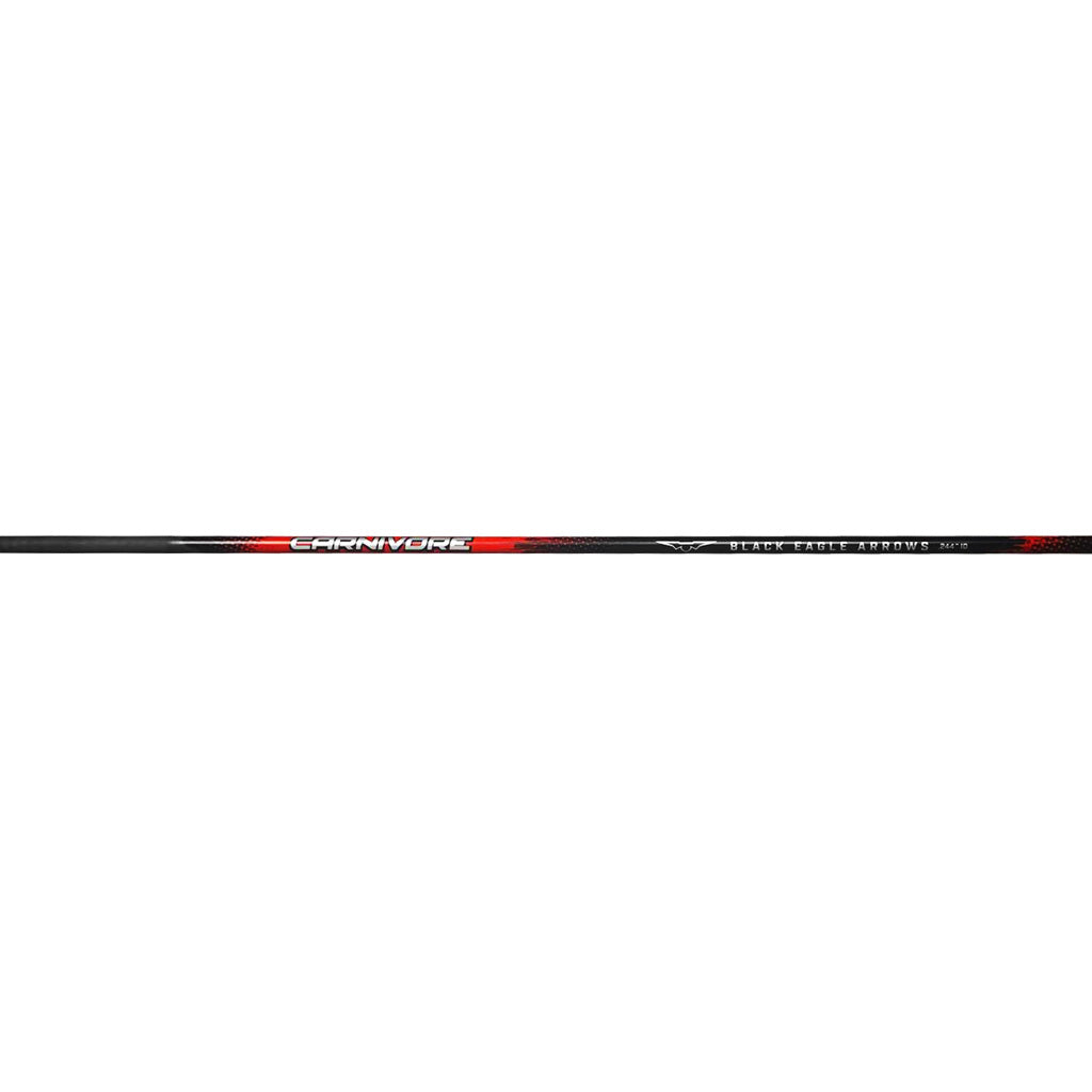 BE256300_1.jpg