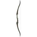 OMP81561_1.jpg